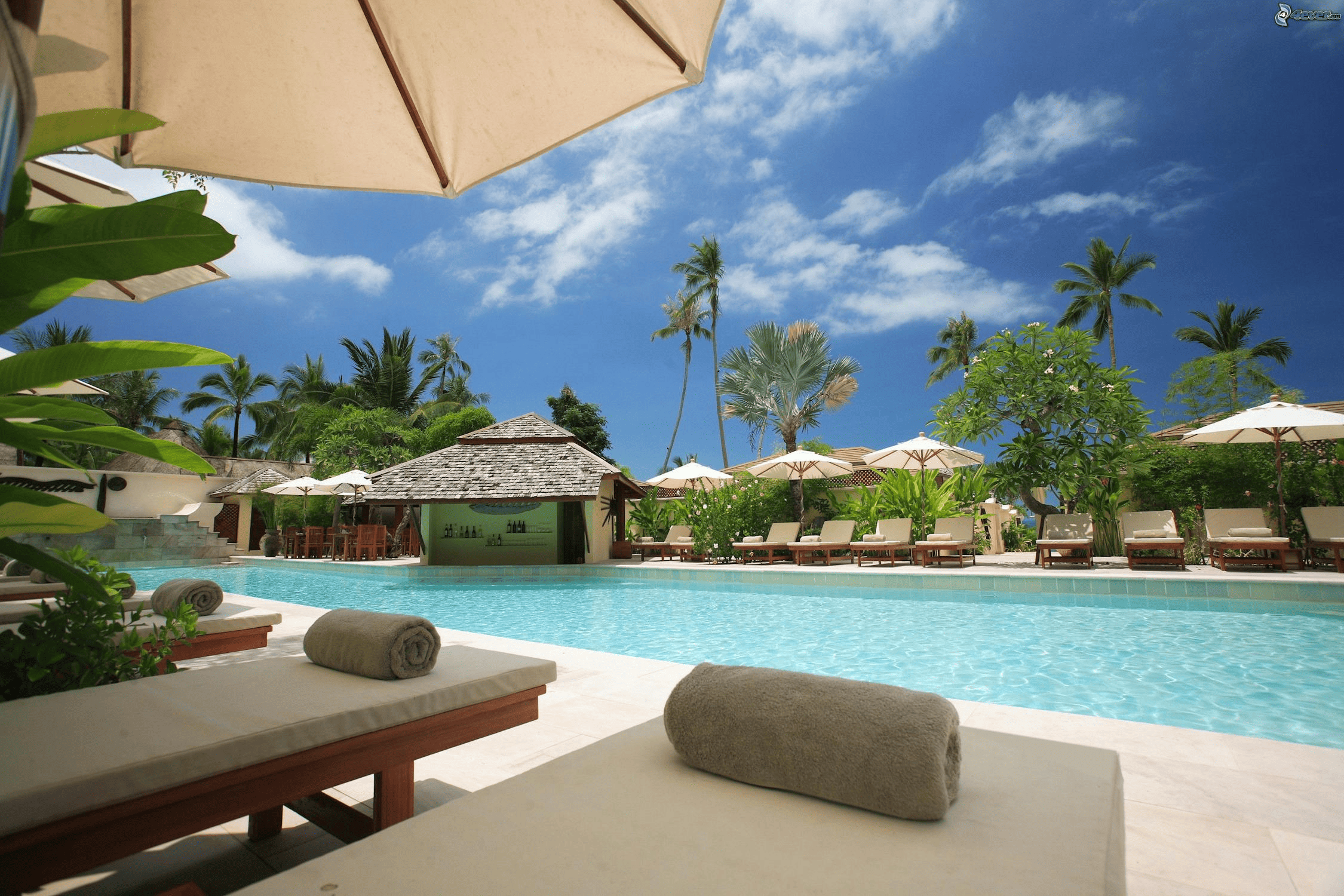 PISCINES / Spas